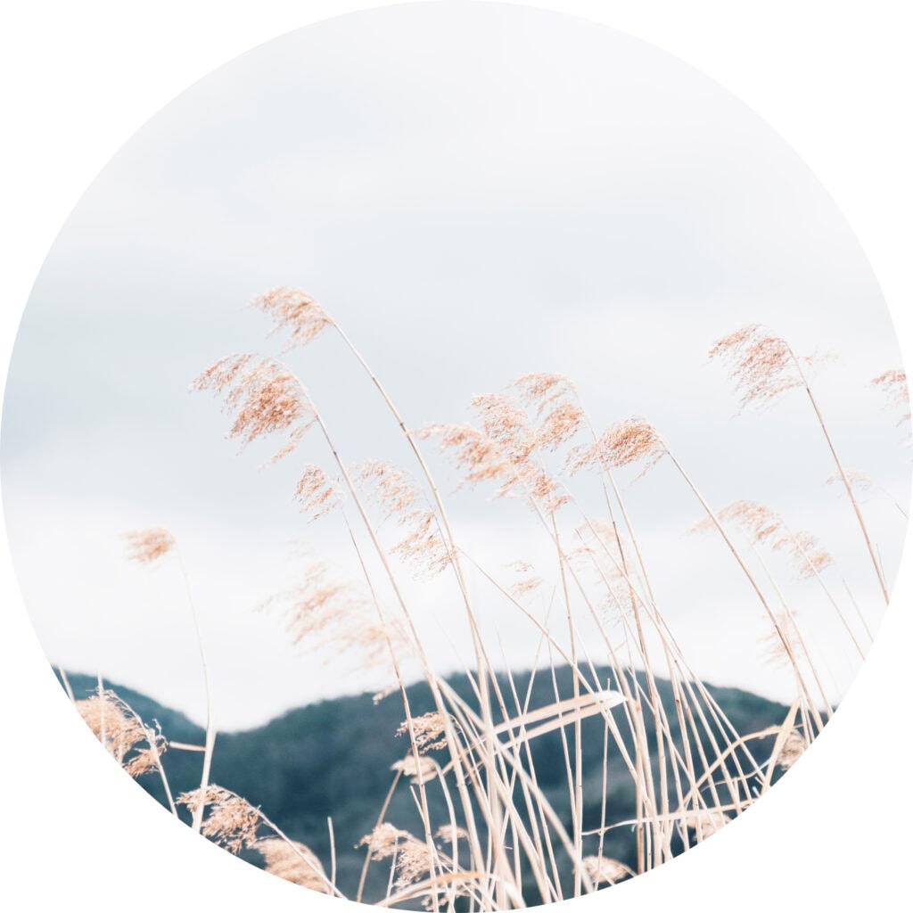 MeforYour Coaching